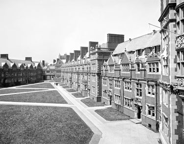 Glass Negative