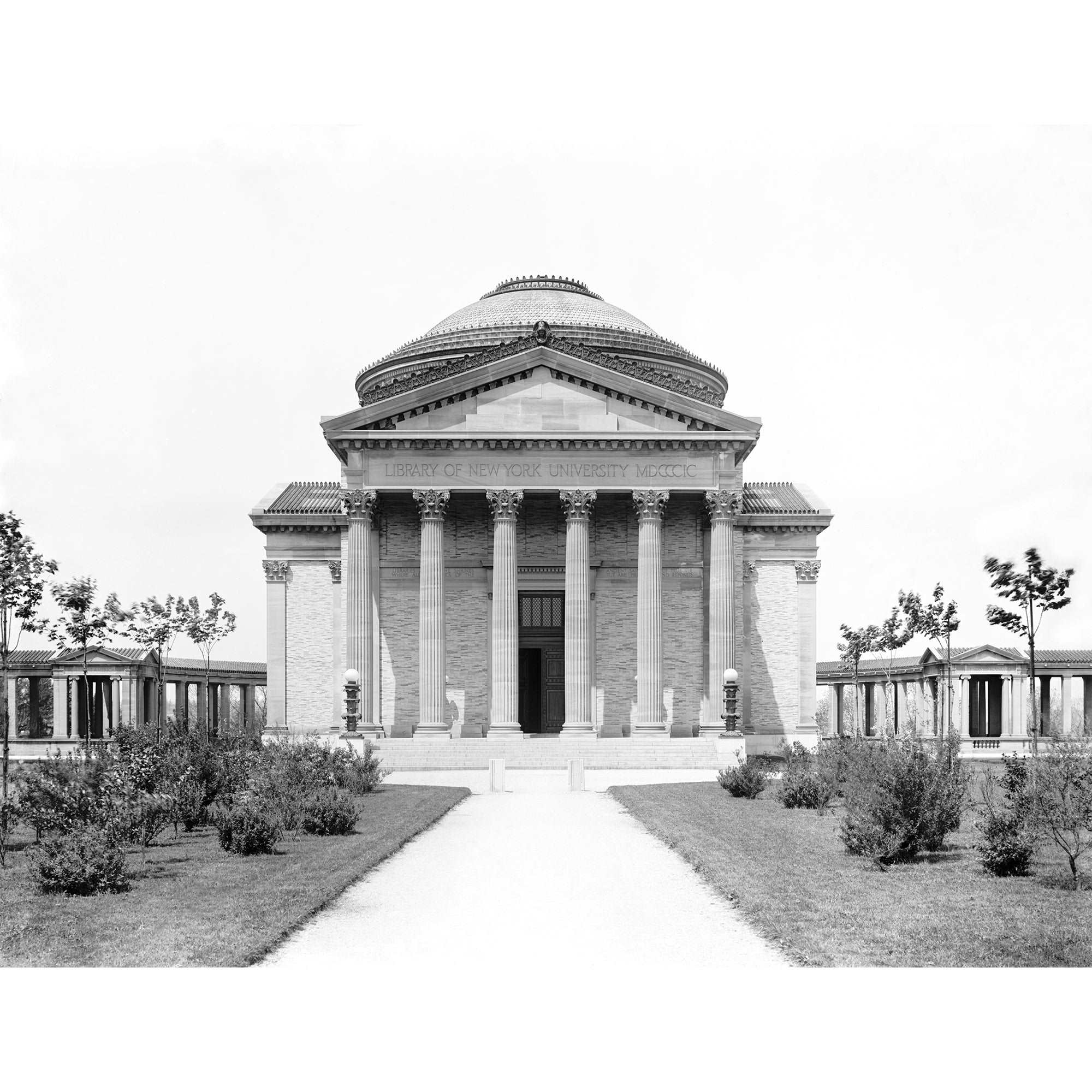 A vintage photograph of the Library at New York University