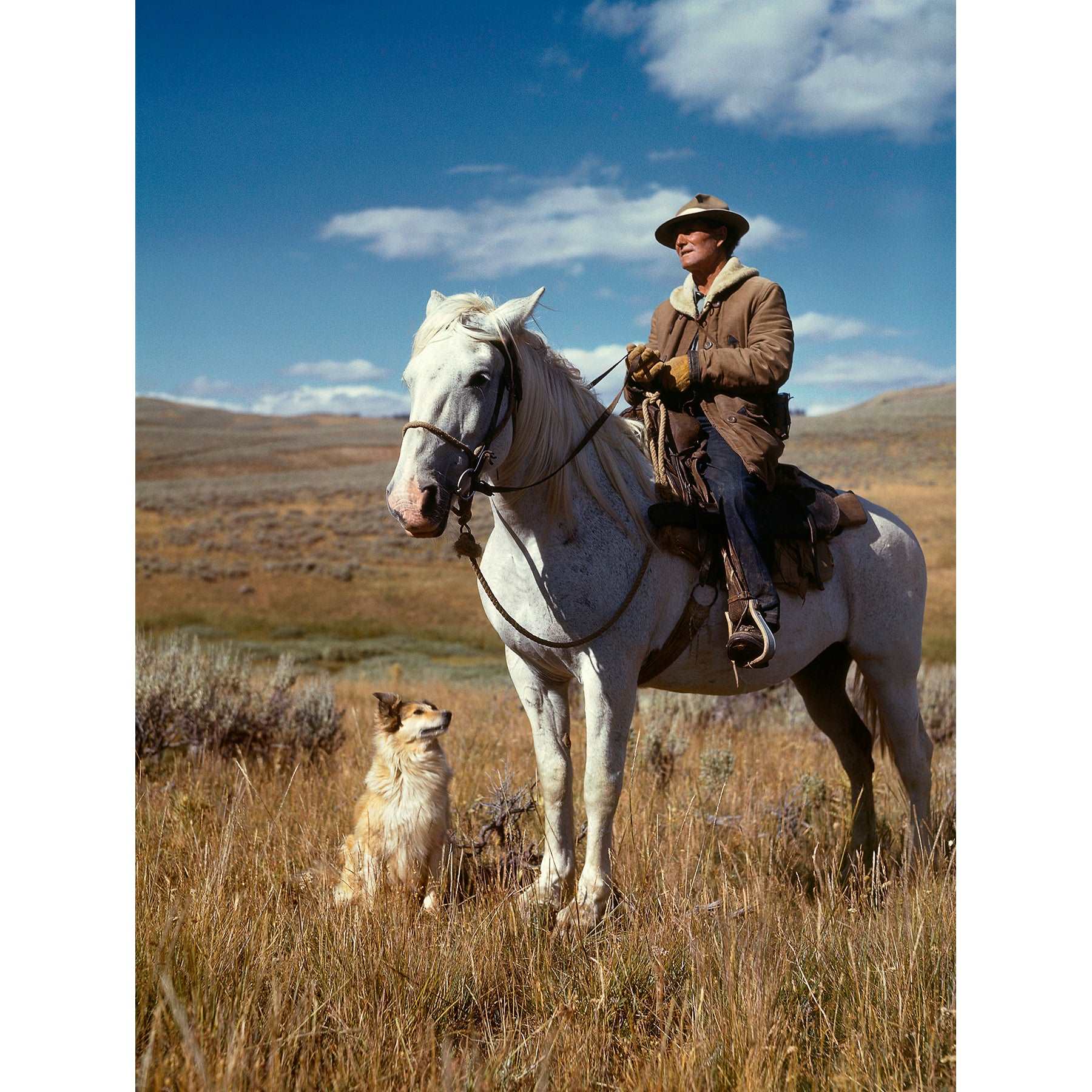 A vintage, color photograph of a Shepherd on a horse with a dog closeby