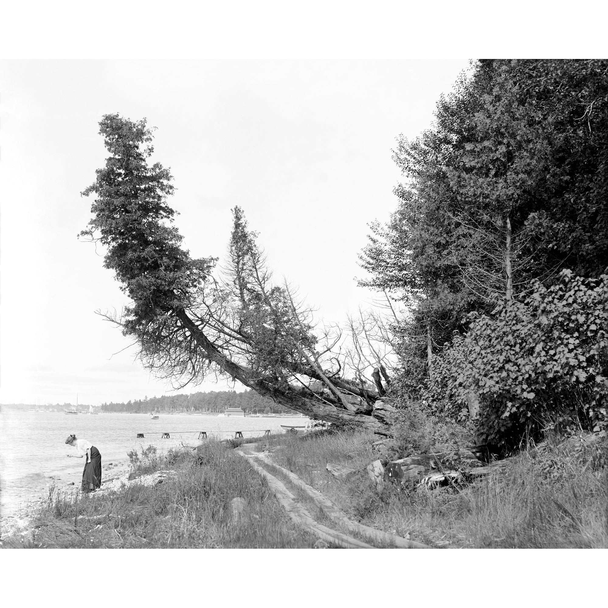 A vintage photograph of a woman at the shoreline of Roaring Brook in Michigan