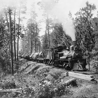 Exploring America's Rich Railway Heritage Through Vintage Photography