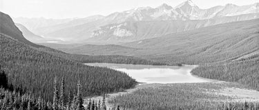 5 Great Images for Nature Lovers