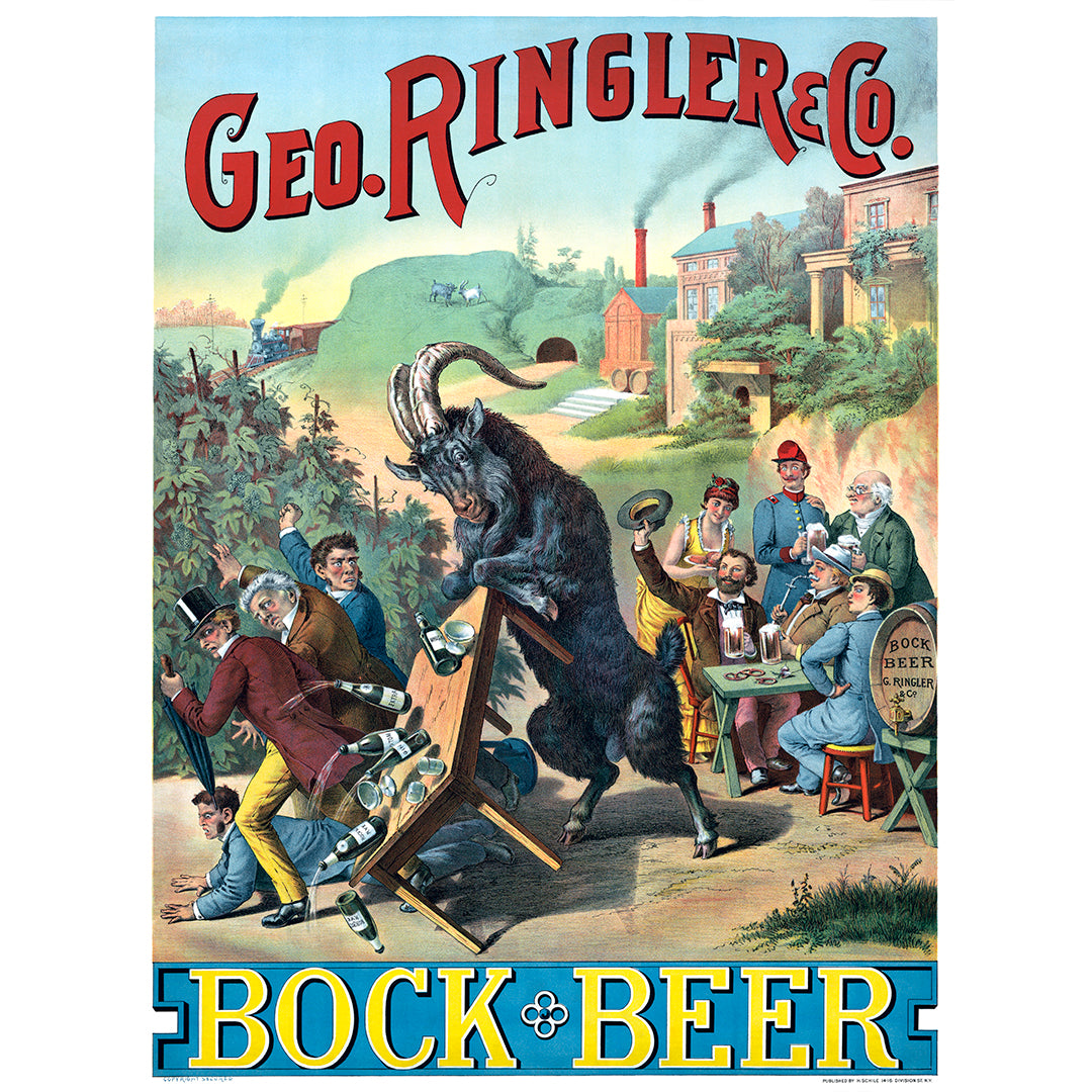 A colorful vintage advertisement for Bock Beer, Geo. Ringler & Co. which features a goat knocking over a table