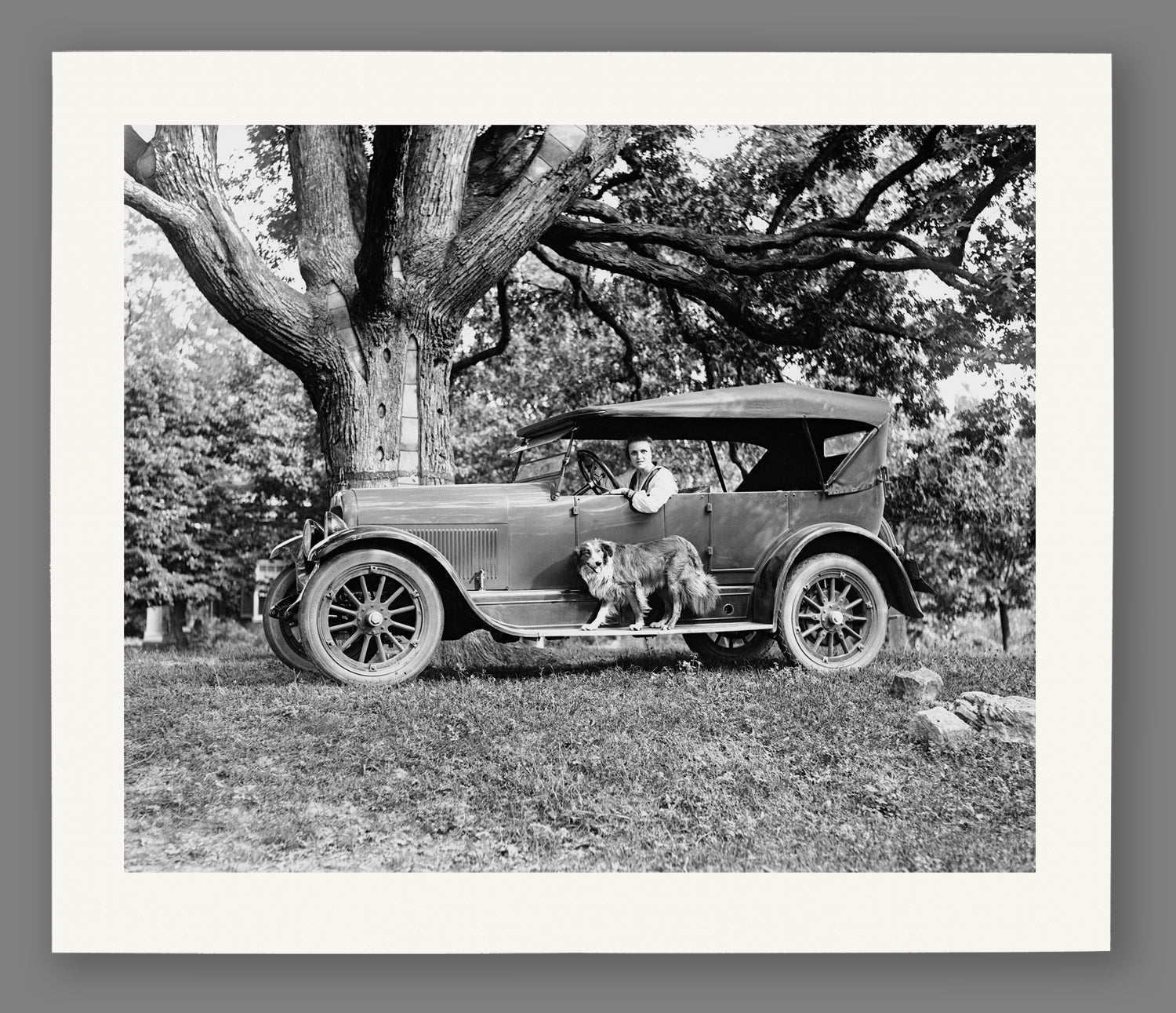 A mockup of a paper print of a vintage photograph of a Jordan Motor Car Company vehicle in front of a tree