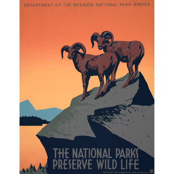 A vintage poster featuring the slogan national parks preserve wild life