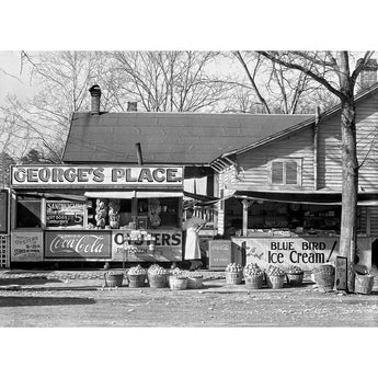 A classic photograph by Walker Evans, depicting a roadside sandwich shop in Louisiana