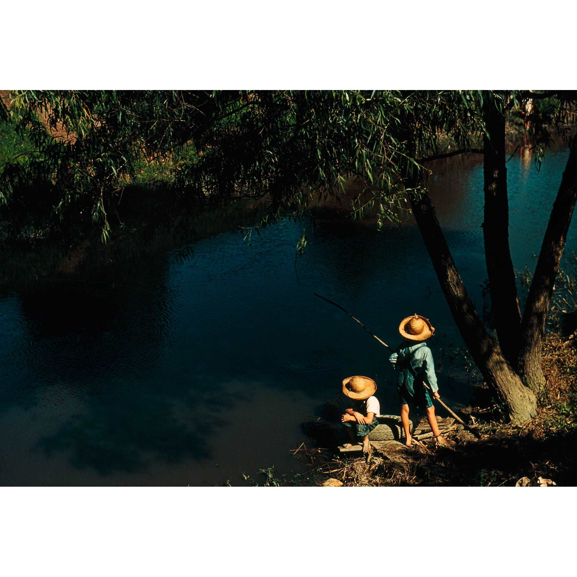 A color, vintage photograph of two boys fishing in a Louisiana Bayou