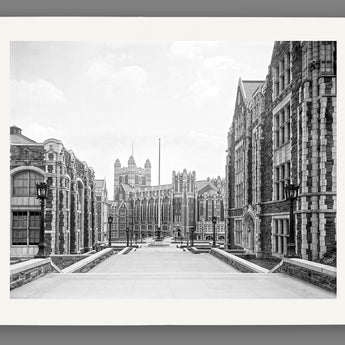 A paper print mockup of a vintage photograph of City College's campus in New York City