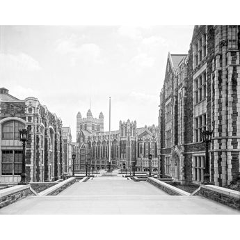 A vintage black and white image of the campus of City College in New York City