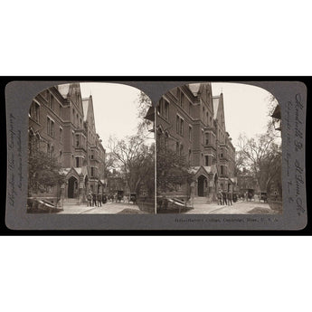 A vintage stereograph card featuring a photograph of Harvard's campus in Cambridge, Massachusetts