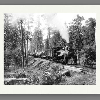 A fine art paper print of a vintage photograph of a log train in the forest