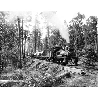 A vintage, black and white photograph of a log train passing through the woods