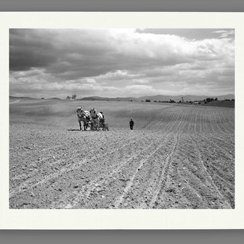 A fine art paper print of a photograph of farming in Shenandoah Valley