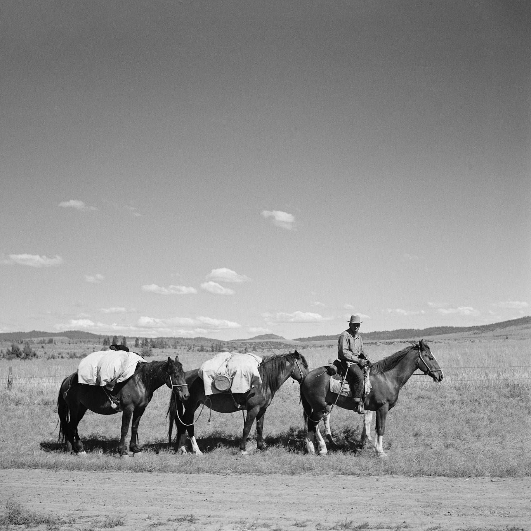 A vintage photograph of a sheep herder with three horses in Oregon