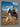 A canvas print reproduction of a color photogrpah of a Shepherd on a horse with a dog alongside