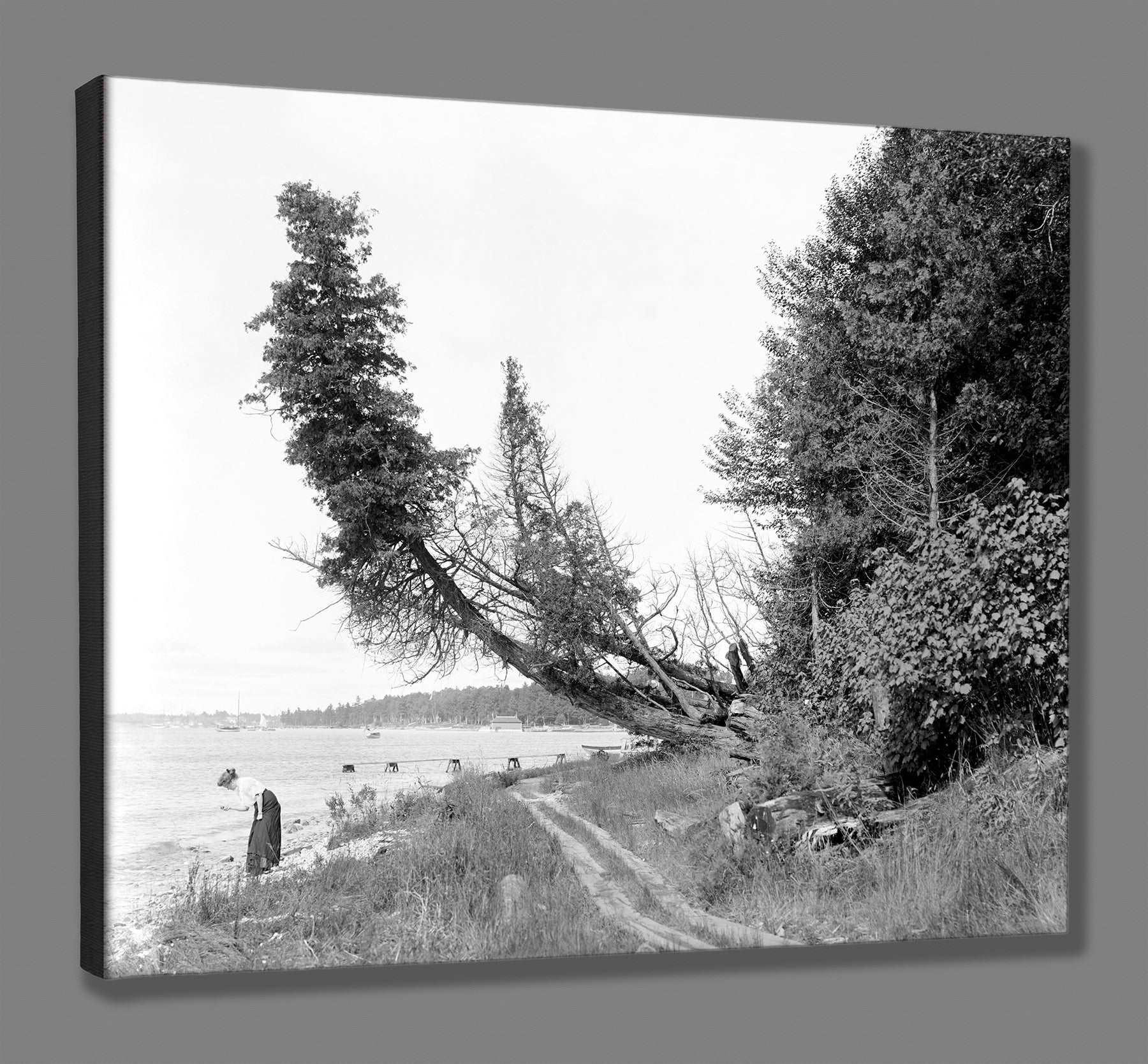 A canvas print of a vintage photo of the shoreline of Michigan's Roaring Brook
