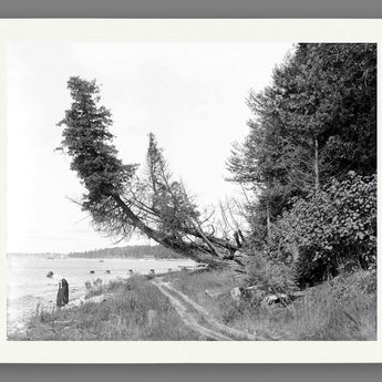A paper print of a black and white photo of Roaring Brook in Michigan